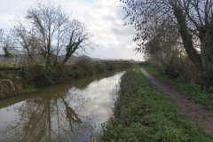 10.-Upstream-from-Hamp-Bridge-2