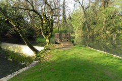 1.-Hapsford-Mill-Mill-Stream-Start