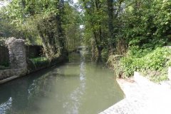 10.-Hapsford-Mill-Mill-Stream