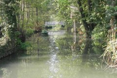 11.-Hapsford-Mill-Mill-Stream