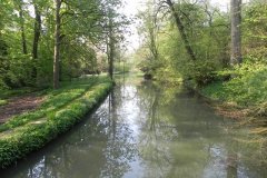 4.-Hapsford-Mill-Mill-Stream