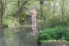 8.-Hapsford-Mill-Mill-Stream