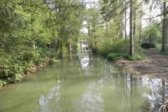 9.-Hapsford-Mill-Mill-Stream