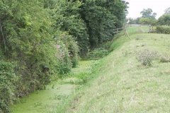11.River-View-upstream-from-Hartlake-Bridge