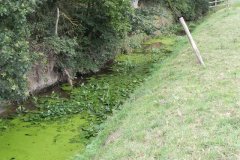12.River-View-upstream-from-Hartlake-Bridge
