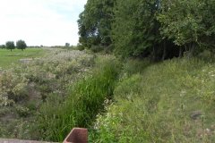 2.Whitelake-joins-Hartlake