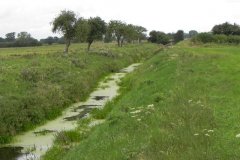 25.River-View-Downstream-From-Hartlake-Bridge