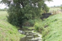 33.Twelve-Foot-Rhyne-Joins-with-River-Sheppey
