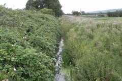 4.Looking-Upstream-from-Hartlake-Farm-Footbridge