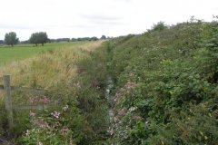 5.Looking-Downstream-from-Hartlake-Farm-Footbridge