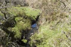 10. The early stream