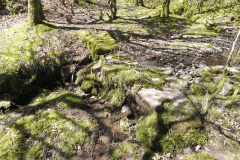 13. Weir downstream from Hawkcombe Head