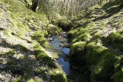 14. Flowing down Hawkcombe