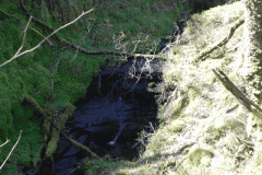 18. Flowing through ravine