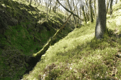 20. Flowing through ravine