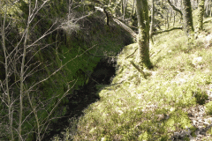 20a. Flowing through ravine
