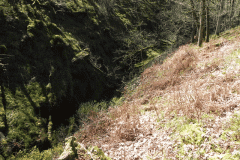 21. Flowing through ravine