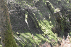22. Flowing through ravine