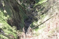 23. Flowing through ravine