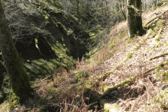 24. Flowing through ravine