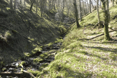 25. Flowing through Bromham Wood
