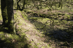 27. Flowing through Bromham Wood