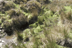 3. Hawkcombe Water source