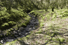 34. Flowing through Bromham Wood