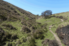 4. Hawkcombe Water source