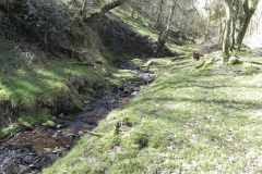 47. Flowing through Bromham Wood