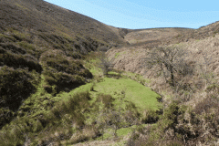 5. Looking upstream to source