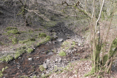 58. Downstream from Bromham Farm Bridge