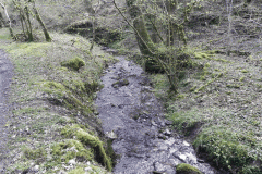 59. Upstream from join with Shillett Combe Water