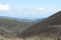 6. Looking downstream from close to source