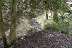 60. Upstream from join with Shillett Combe