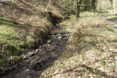 61. Upstream from join with Shillett Combe