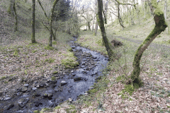 63. Upstream from join with Shillett Combe