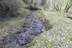 64. Upstream from join with Shillett Combe