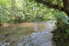 3. Downstream from Haddeo join) (1)-2000x1500
