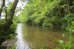3. Downstream from Haddeo join) (11)-2000x1500