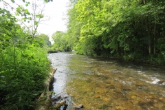 3. Downstream from Haddeo join) (4)-2000x1500