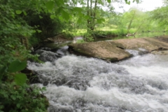 Saw Mill weir (5)-2000x1500