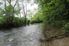 Upstream from saw mill weir (1)-2000x1500