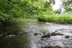 Upstream from saw mill weir (10)-2000x1500