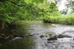 Upstream from saw mill weir (11)-2000x1500