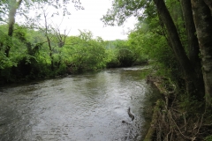 Upstream from saw mill weir (12)-2000x1500