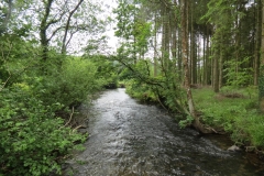 Upstream from saw mill weir (14)-2000x1500