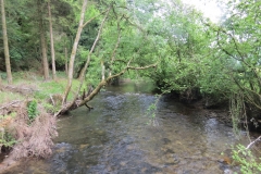 Upstream from saw mill weir (15)-2000x1500