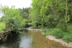 Upstream from saw mill weir (16)-2000x1500