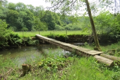 Upstream from saw mill weir (17)-2000x1500